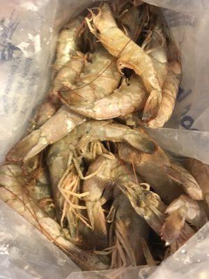 Super colossal shrimp, only $5.99lb! This would cost me $20lb back home in Detroit MI!