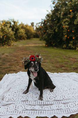 Floral Crown