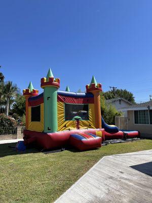 Castle slide with pool