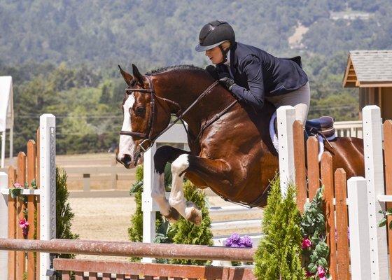 Woodside Horse Show 2017