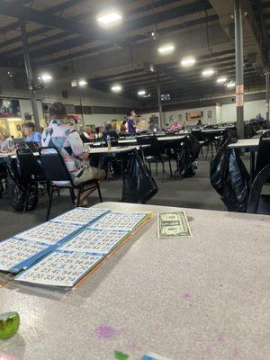 Bingo Paradise