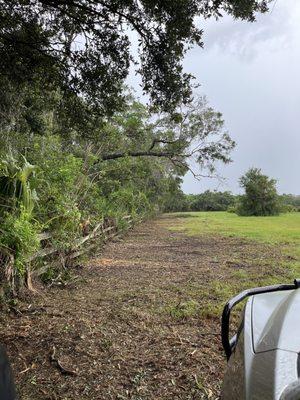 After picture of forestry mulching vegetation from fence line