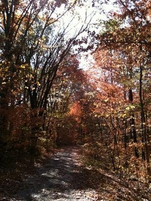 Hidden trails in karst, behind maintenance building