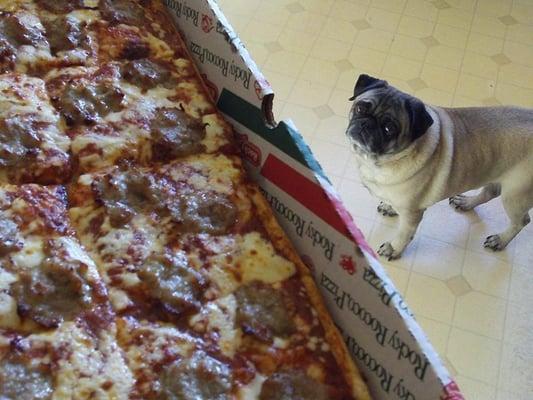 Timmy likes Rocky's too. #pug #pizza #sausage