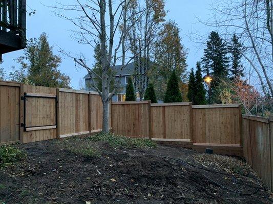 New fence and gate