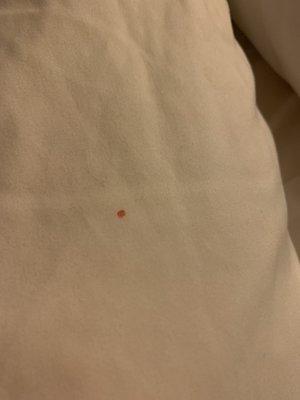 Unidentified red spot on pillow.