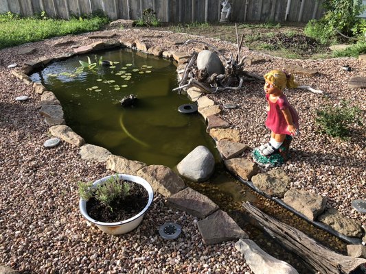 Garden Pond