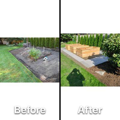 Backyard renovation