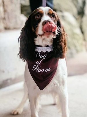 We embroidered a bandana for this dog to wear at its owner's wedding.