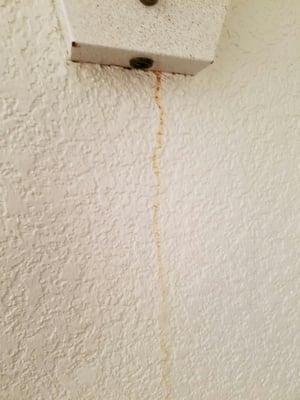 Rusted water dripping down the wall from the light fixture