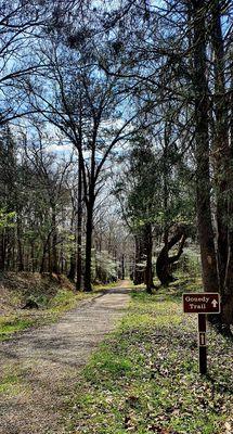 Old wagon trail to Charleston, SC