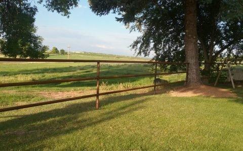 Fencing & Corrals