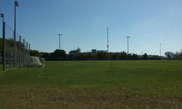 Soccer field