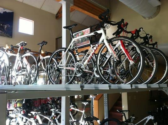 Giant and Specialized Road Bikes.