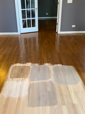 Picking a new floor color