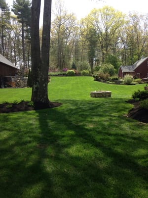 Scheduled Lawn Maintenance and Mulching