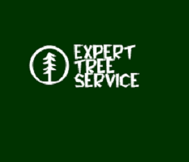 Expert Tree Service