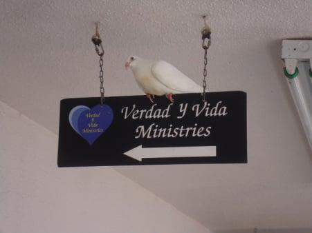 Verdad y Vida Ministries