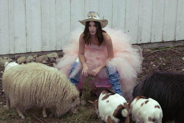 Photo shoot with sheep and goats