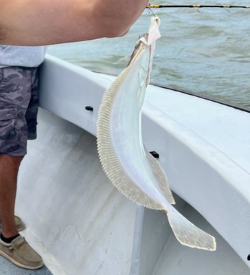 The little flounder I caught! - VN