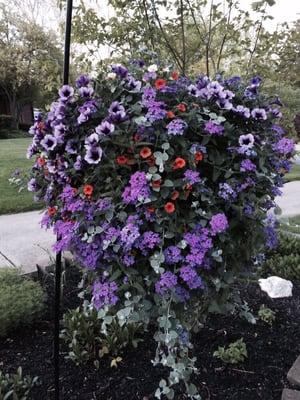 Hanging basket