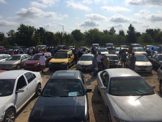 Public Auto Auction