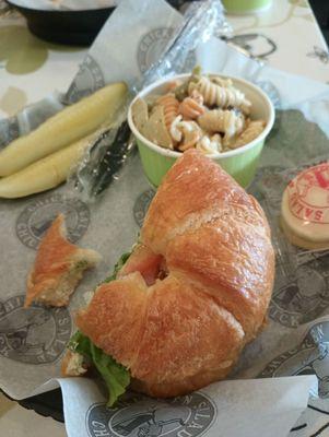 Laura's lemon basil chicken salad on croissant. Pasta salad and watermelon tea.