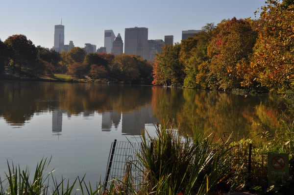 See the lake and the & bodies of water in Central Park on one of our bike tours.