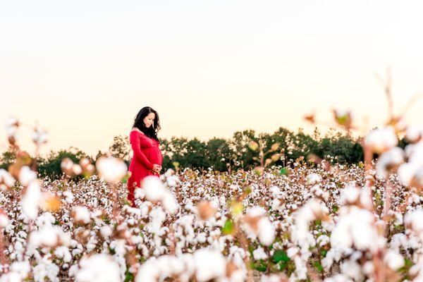 Cotton FIeld Fall Photogaphy Session at Holland Farms in Milton FL