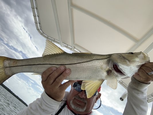 Today's snook catch means they have moved out of the back country and have begun the migration to the islands and beaches !