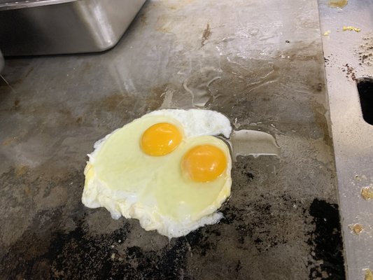 Real eggs