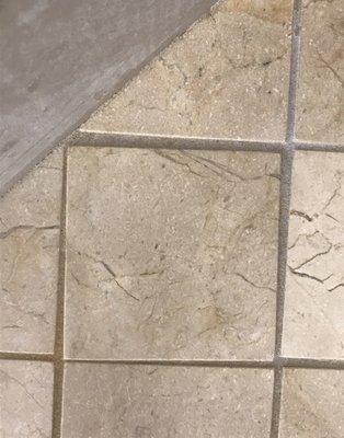 Worst tile job I've ever seen. Not only are there crooked tiles, there are chipped tiles all over the shower and master bathroom floor.