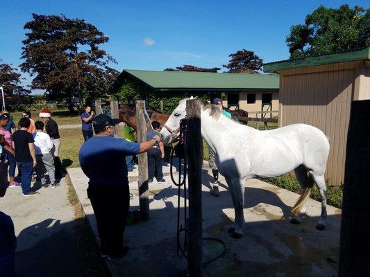 Intro to grooming