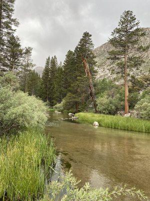 Beautiful creek at camp