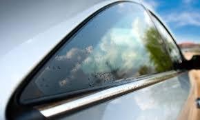 Mobile Auto Glass Solutions