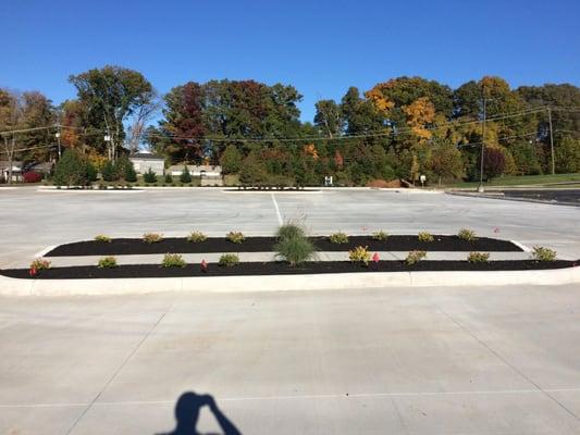 Install plants and mulch islands in parking lot