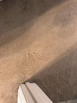 Carpet pieces not vacuumed up