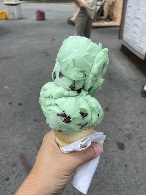 Vegan mint chip ice cream (size small)