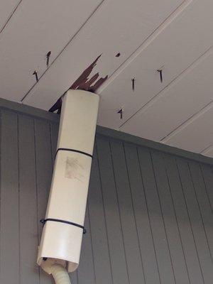 Nails hanging off roof