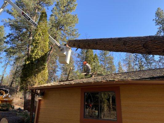 When storms prevail we can get the tree off the house safely without additional damage to structures.