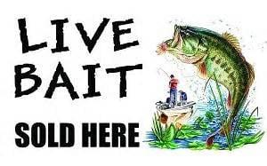 We sell live bait and lot of fishing gear. rods reels baits and more