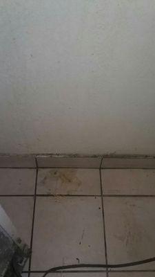 More dirty pictures of the floor and the wall in the kitchen