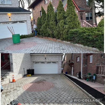 Before and after , tree removal and mulch installation