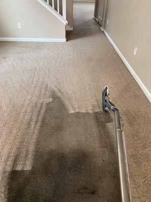 Neglected and abused carpet being restored