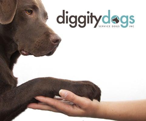 Diggity Dogs Service Dogs In Dogs We Trust