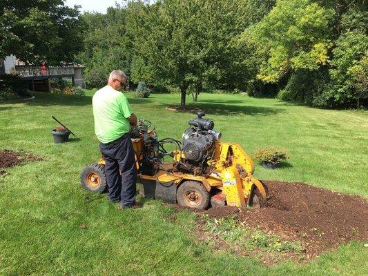 Elite Stump Grinding