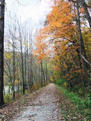 Much of the trail is semi-covered like this. A bit of protection from the elements without obstructing the views of the river.