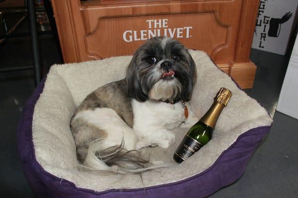 Sookie, the champagne hoarder.