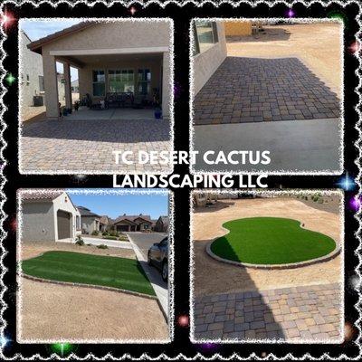 TC Desert Cactus Landscaping