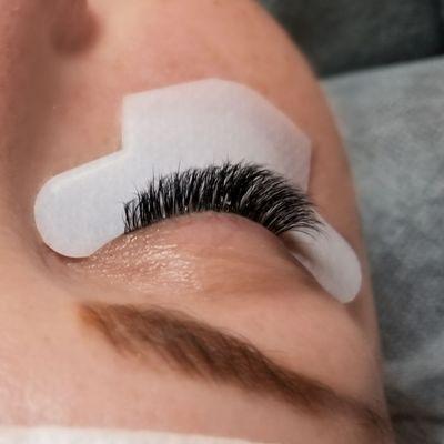 Volume Lashes